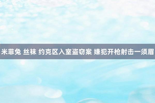 米菲兔 丝袜 约克区入室盗窃案 嫌犯开枪射击一须眉