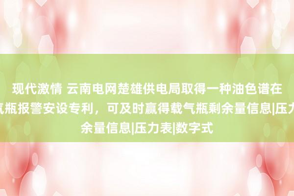 现代激情 云南电网楚雄供电局取得一种油色谱在线监测载气瓶报警安设专利，可及时赢得载气瓶剩余量信息|压力表|数字式