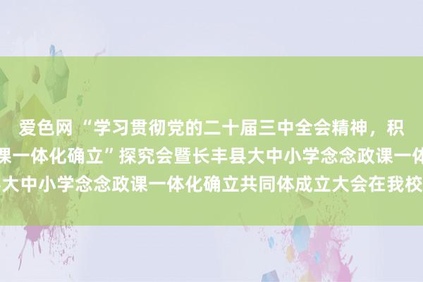 爱色网 “学习贯彻党的二十届三中全会精神，积极激动大中小学念念政课一体化确立”探究会暨长丰县大中小学念念政课一体化确立共同体成立大会在我校召开
