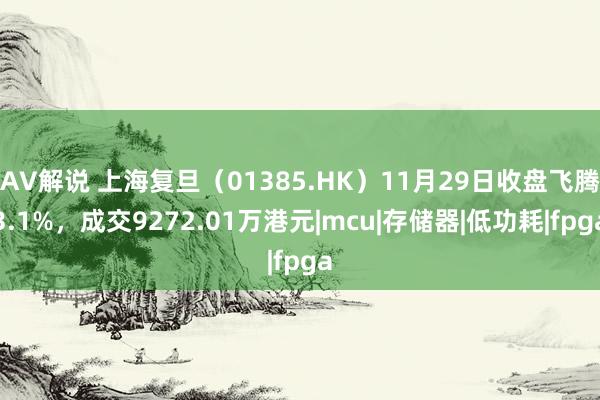 AV解说 上海复旦（01385.HK）11月29日收盘飞腾3.1%，成交9272.01万港元|mcu|存储器|低功耗|fpga