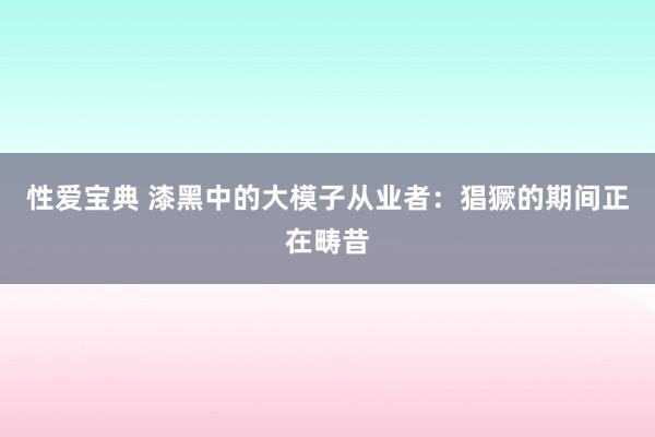 性爱宝典 漆黑中的大模子从业者：猖獗的期间正在畴昔