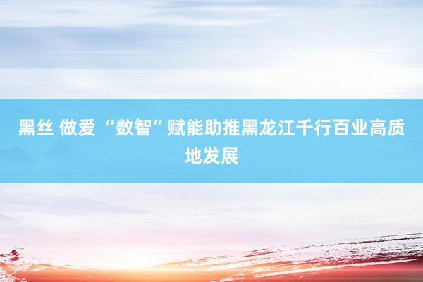 黑丝 做爱 “数智”赋能助推黑龙江千行百业高质地发展
