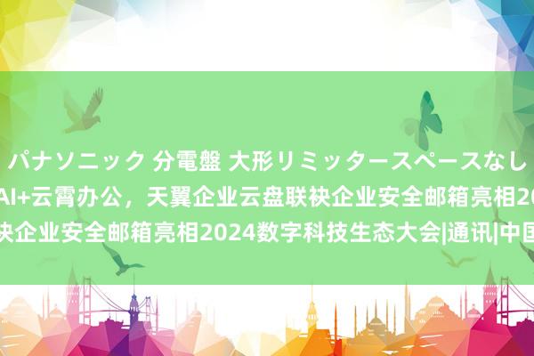 パナソニック 分電盤 大形リミッタースペースなし 露出・半埋込両用形 AI+云霄办公，天翼企业云盘联袂企业安全邮箱亮相2024数字科技生态大会|通讯|中国电信