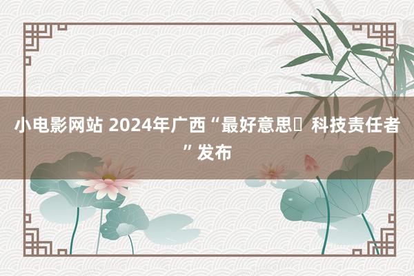 小电影网站 2024年广西“最好意思‍科技责任者”发布