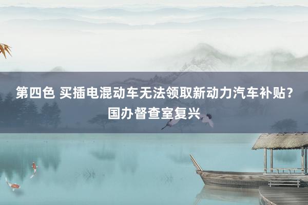 第四色 买插电混动车无法领取新动力汽车补贴？国办督查室复兴