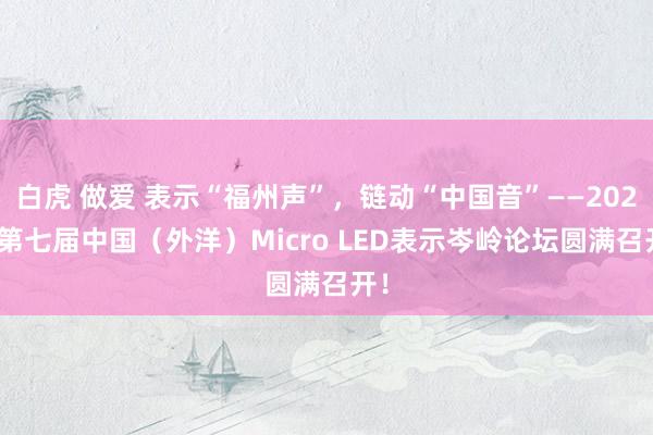 白虎 做爱 表示“福州声”，链动“中国音”——2024 第七届中国（外洋）Micro LED表示岑岭论坛圆满召开！