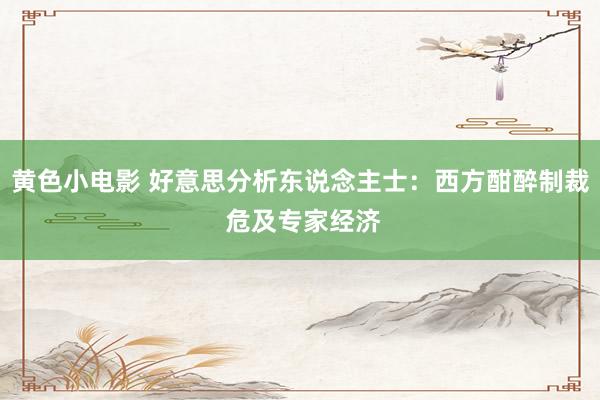 黄色小电影 好意思分析东说念主士：西方酣醉制裁 危及专家经济