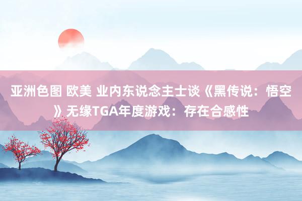 亚洲色图 欧美 业内东说念主士谈《黑传说：悟空》无缘TGA年度游戏：存在合感性