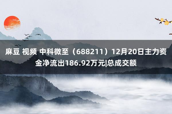 麻豆 视频 中科微至（688211）12月20日主力资金净流出186.92万元|总成交额