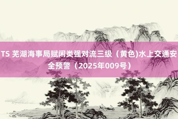 TS 芜湖海事局赋闲类强对流三级（黄色)水上交通安全预警（2025年009号）