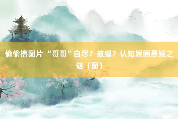 偷偷撸图片 “哥哥”自尽？披缁？认知娱圈悬疑之谜（图）