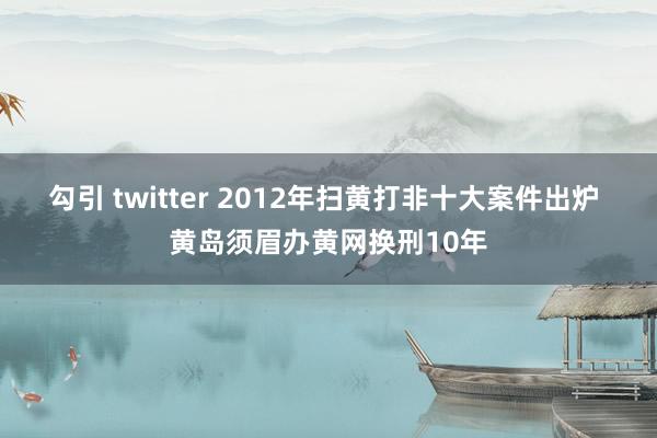 勾引 twitter 2012年扫黄打非十大案件出炉 黄岛须眉办黄网换刑10年