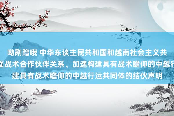 呦剐蹭哦 中华东谈主民共和国和越南社会主义共和国对于络续深化全面战术合作伙伴关系、加速构建具有战术瞻仰的中越行运共同体的结伙声明