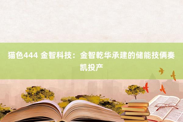 猫色444 金智科技：金智乾华承建的储能技俩奏凯投产