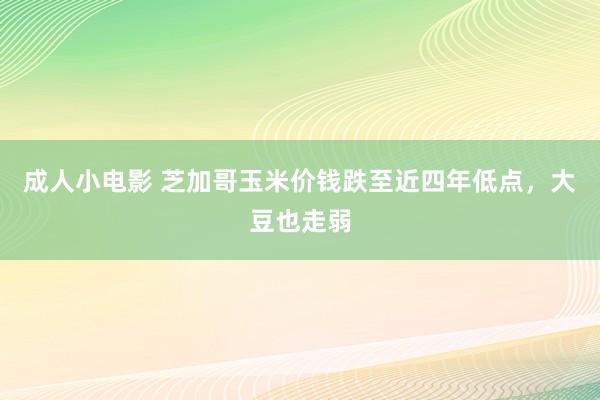 成人小电影 芝加哥玉米价钱跌至近四年低点，大豆也走弱