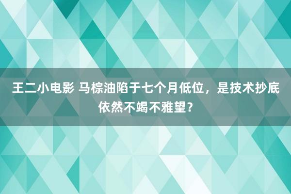 王二小电影 马棕油陷于七个月低位，是技术抄底依然不竭不雅望？