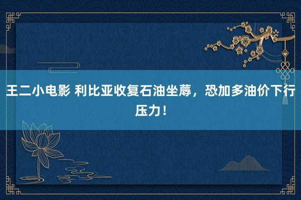 王二小电影 利比亚收复石油坐蓐，恐加多油价下行压力！