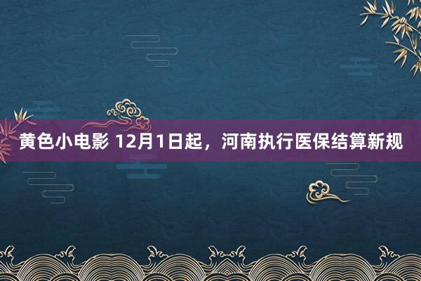黄色小电影 12月1日起，河南执行医保结算新规