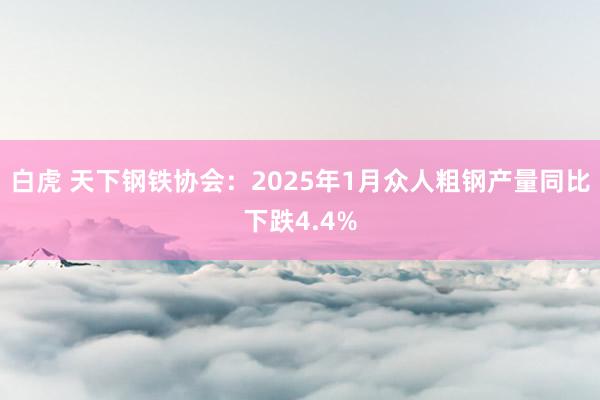 白虎 天下钢铁协会：2025年1月众人粗钢产量同比下跌4.4%