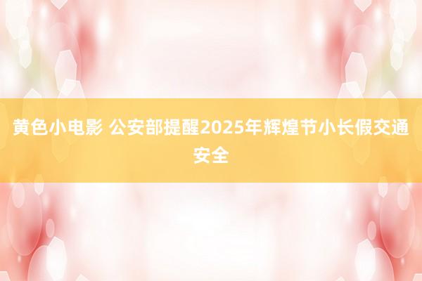 黄色小电影 公安部提醒2025年辉煌节小长假交通安全